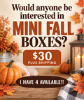 Mini Fall Box
